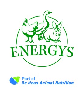 c_20170803-brand-energys-hobby-logo_endorser.jpg